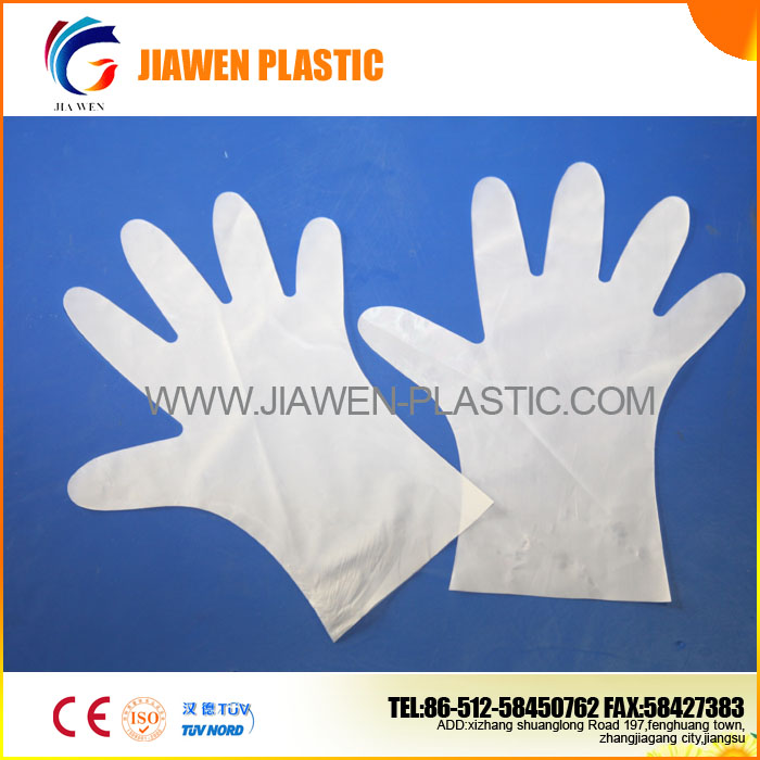 Disposable TPE Glove