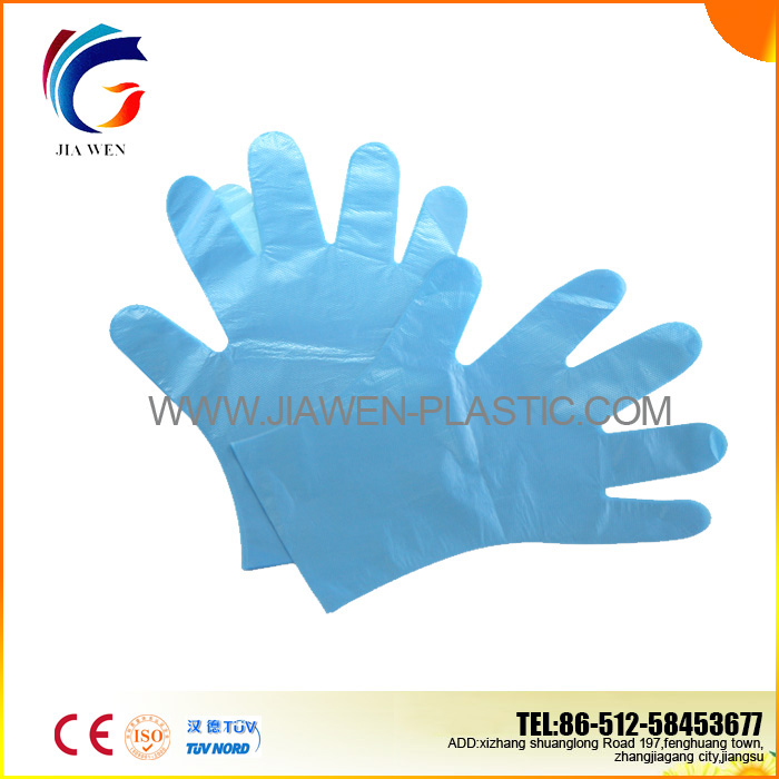 Blue PE Glove
