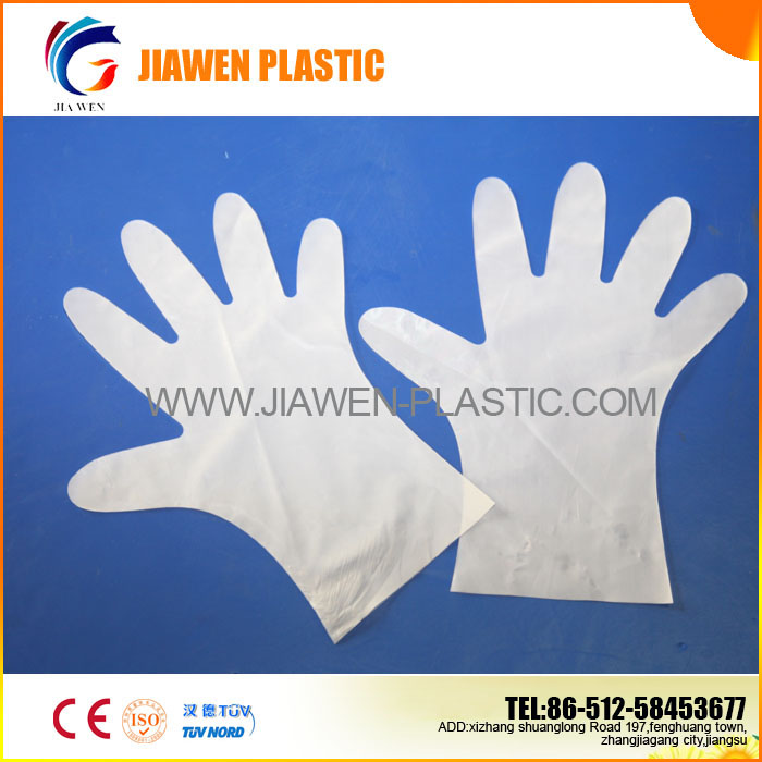 Disposable TPE Glove