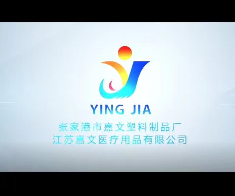 Company introduction